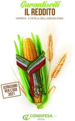 Garantisciti IL REDDITO - PER L'USO - CO.PRO.VI.