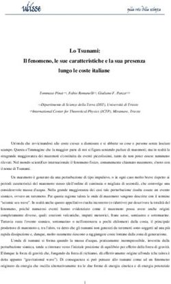 Lo Tsunami: Il fenomeno, le sue caratteristiche e la sua presenza lungo le coste italiane