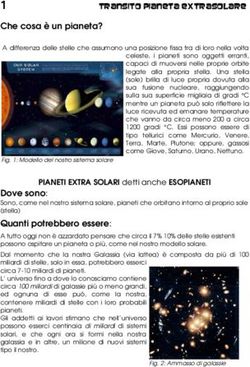 Che cosa è un pianeta? - 1 TransitoPianetaExtrasolare