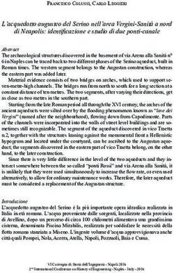 L'acquedotto augusteo del Serino nell'area Vergini-Sanit&agrave; a nord di Neapolis: identificazione e studio di due ponti-canale