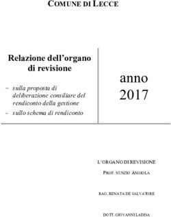 Anno 2017 Relazione dell'organo di revisione - Comune di Lecce