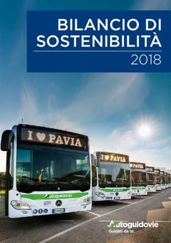 BILANCIO DI SOSTENIBILIT&Agrave; 2018 - Autoguidovie