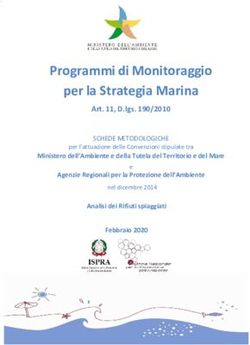 Programmi di Monitoraggio per la Strategia Marina