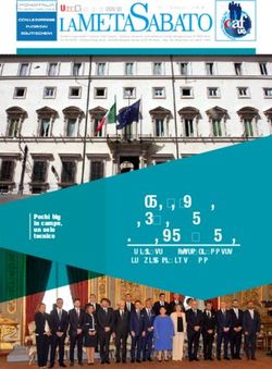 SPINE E ROSE DEL SECONDO GOVERNO CONTE - UGL MANTOVA