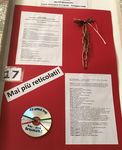 Consiglio Comunale dei Ragazzi e delle Ragazze - La celebrazione cittadina del 25 aprile 2017 - Istituto ...