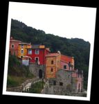 Volontariato & Vacanze - CRI-Pisa