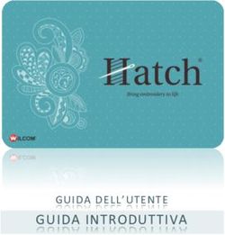 GUIDA INTRODUTTIVA GUIDA DELL'UTENTE