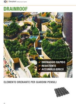 DRAINROOF - DRENAGGIO RAPIDO RESISTENTE ACCUMULO IDRICO - Tondin Group