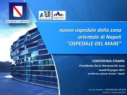 Nuovo ospedale della zona orientale di Napoli - "OSPEDALE DEL MARE" CONFERENZA STAMPA - Regione Campania