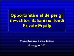 Opportunità e sfide per gli investitori italiani nei fondi Equity Private Equity - Presentazione Borsa Italiana 22 maggio, 2002
