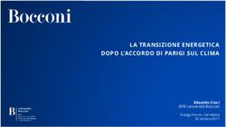 LA TRANSIZIONE ENERGETICA DOPO L'ACCORDO DI PARIGI SUL CLIMA - Edoardo Croci IEFE-Università Bocconi