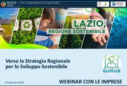 WEBINAR CON LE IMPRESE - Verso la Strategia Regionale per lo Sviluppo Sostenibile 14 Gennaio 2021 - Lazio Europa