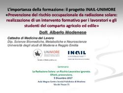 L'importanza della formazione: il progetto INAIL-UNIMORE "Prevenzione del rischio occupazionale da radiazione solare: realizzazione di un ...