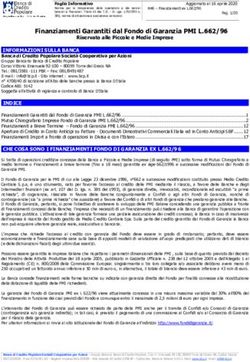 Finanziamenti Garantiti dal Fondo di Garanzia PMI L.662/96 - BCP