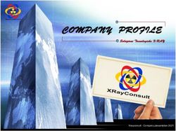 COMPANY PROFILE Soluzioni Tecnologiche X-RAY - Xrayconsult