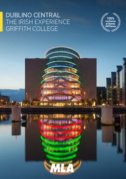 DUBLINO CENTRAL THE IRISH EXPERIENCE GRIFFITH COLLEGE - MLA