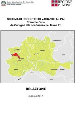RELAZIONE - SCHEMA DI PROGETTO DI VARIANTE AL PAI Torrente Orco da Cuorgn&egrave; alla confluenza nel fiume Po