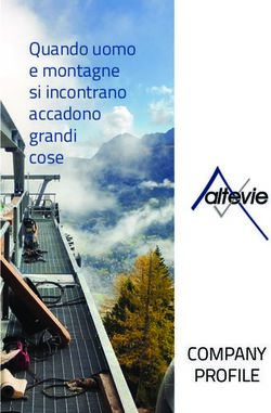 COMPANY PROFILE - Quando uomo e montagne si incontrano accadono grandi cose - Altevie