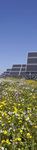 SUSTAINABILITY Il nostro valore, condiviso | 2019 - Falck Renewables