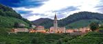 Su e giù tra le colline - DEL PROSECCO - Castelbrando