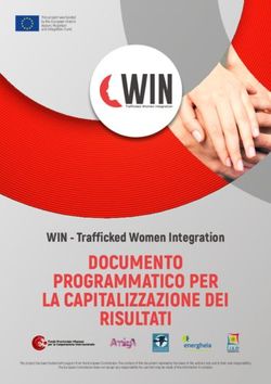 DOCUMENTO PROGRAMMATICO PER LA CAPITALIZZAZIONE DEI RISULTATI