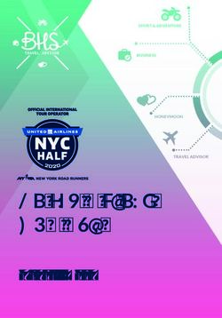 United Airlines NYC Half - Travel Book - BHS Travel Advisor