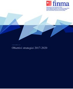 Obiettivi strategici 2017-2020 - Finma
