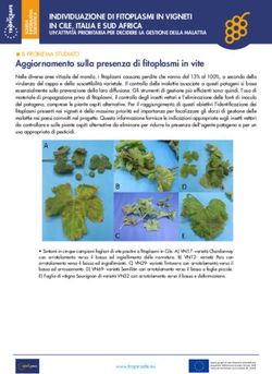Aggiornamento sulla presenza di fitoplasmi in vite