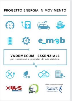 VADEMECUM ESSENZIALE - PROGETTO ENERGIA IN MOVIMENTO - per meccatronici e proprietari di auto elettriche - Class Onlus