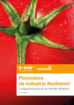 Pomodoro da industria Nunhems - La risposta giusta ad un mercato dinamico