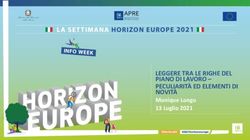 LEGGERE TRA LE RIGHE DEL PIANO DI LAVORO - PECULIARITÀ ED ELEMENTI DI NOVITÀ - Monique Longo 13 Luglio 2021 - Horizon ...
