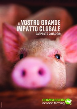 IMPATTO GLOBALE IL VOSTRO GRANDE - RAPPORTO 2018/2019 - CIWF Italia