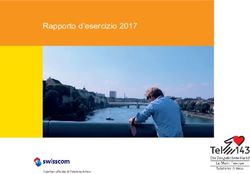Rapporto d'esercizio 2017