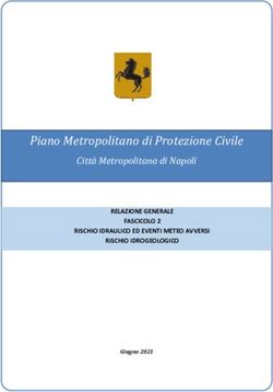 Piano Metropolitano di Protezione Civile - Citt&agrave; Metropolitana di Napoli