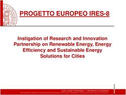 PROGETTO EUROPEO IRES-8 - Instigation of Research and Innovation Partnership on Renewable Energy, Energy Efficiency and Sustainable Energy ...