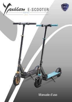 E-SCOOTER - Manuale d'uso - Ypsilon Urban e-Mobility