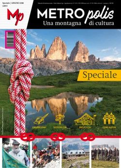 Una montagna di cultura - Metropolis