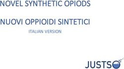 NOVEL SYNTHETIC OPIODS NUOVI OPPIOIDI SINTETICI - ITALIAN VERSION - Justso
