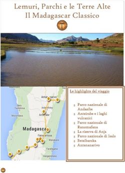 Lemuri, Parchi e le Terre Alte Il Madagascar Classico - Le highlights del viaggio Parco nazionale di Andasibe Antsirabe e i laghi vulcanici ...