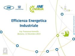 Efficienza Energetica Industriale - Ing. Francesco Iannello Bolzano, 12 Dicembre 2014