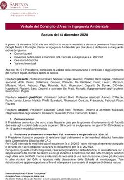 Verbale del Consiglio d'Area in Ingegneria Ambientale Seduta del 18 dicembre 2020