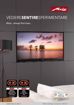 VEDERESENTIRESPERIMENTARE - Metz - always first class - www.metz-ce.de/it - New Audio