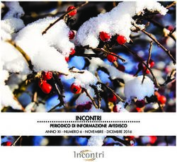 INCONTRI PERIODICO DI INFORMAZIONE AVEDISCO - ANNO XII - NUMERO 6 - NOVEMBRE - DICEMBRE 2016