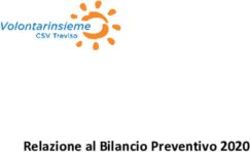 Relazione al Bilancio Preventivo 2020 - CSV Treviso