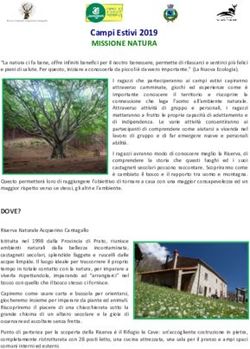 Campi Estivi 2019 MISSIONE NATURA - Ecoturismo ...