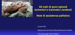 Gli esiti di gravi episodi ischemici o traumatici cerebrali Note di assistenza palliativa - Luciano Bet Dipartimento di Scienze Biomediche per la ...