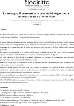 Le strategie di contrasto alla criminalit&agrave; organizzata transnazionale e al terrorismo