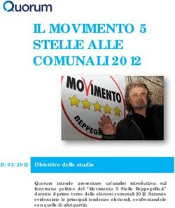 IL MOVIMENTO 5 STELLE ALLE COMUNALI 2012