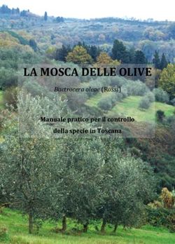 Bactrocera oleae ( Rossi) - Manuale pratico per il controllo della specie in Toscana - Fondazione Clima e Sostenibilit&agrave;