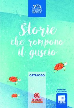 Storie il guscio che rompono - CATALOGO - Le tartarughe marine